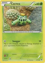 Cacnea - 4/162