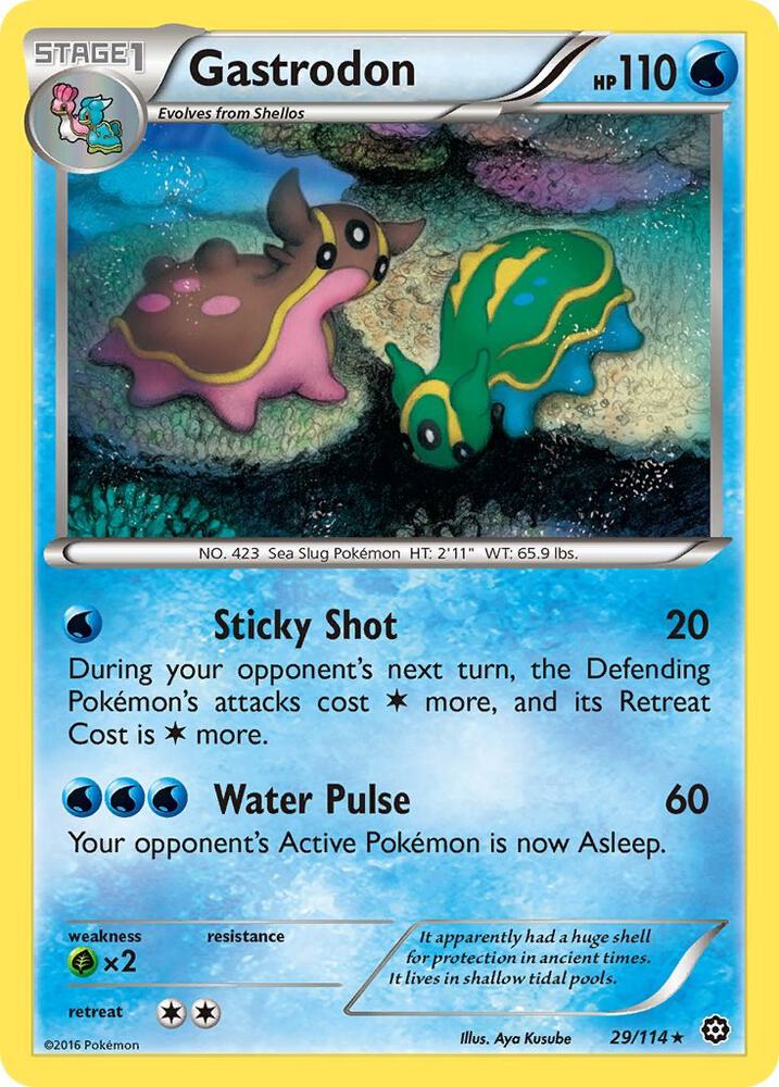 Gastrodon - 29/114