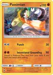 Passimian - 79/147