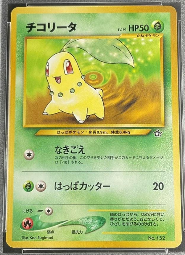 Chikorita
