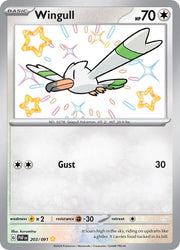 Wingull - 203/091