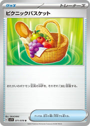Picnic Basket - 071/078