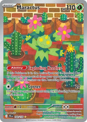 Maractus - 160/159