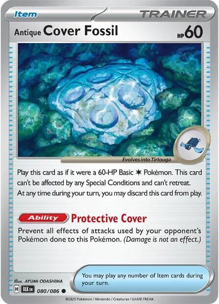 Antique Cover Fossil - 080/086