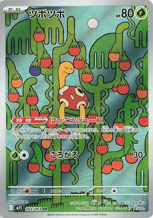 Shuckle - 064/063 PSA 10