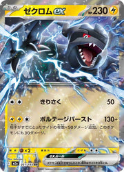 Zekrom ex - 051/193