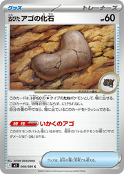 Antique Jaw Fossil - 068/080