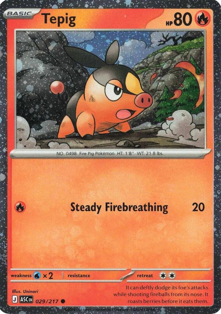 Tepig - 029/217