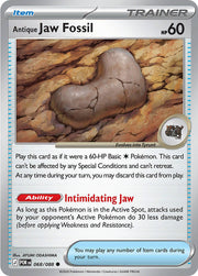 Antique Jaw Fossil - 068/088