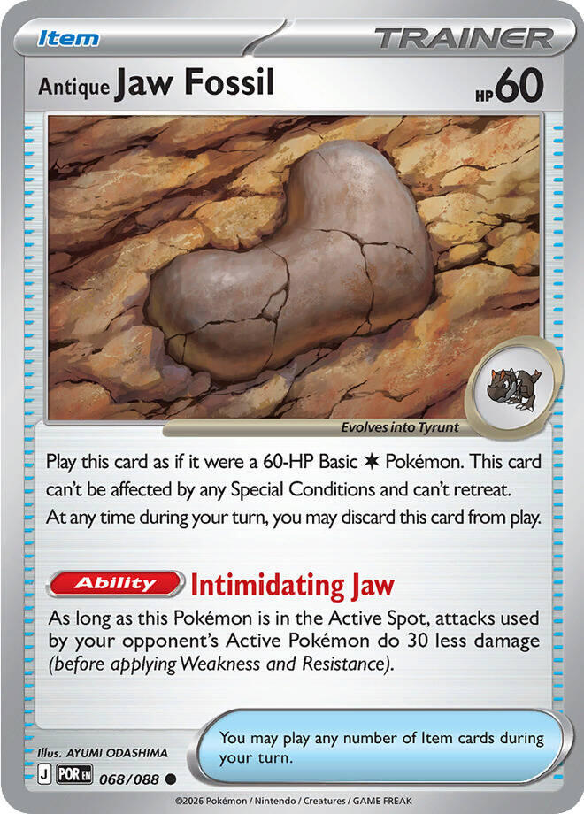 Antique Jaw Fossil - 068/088