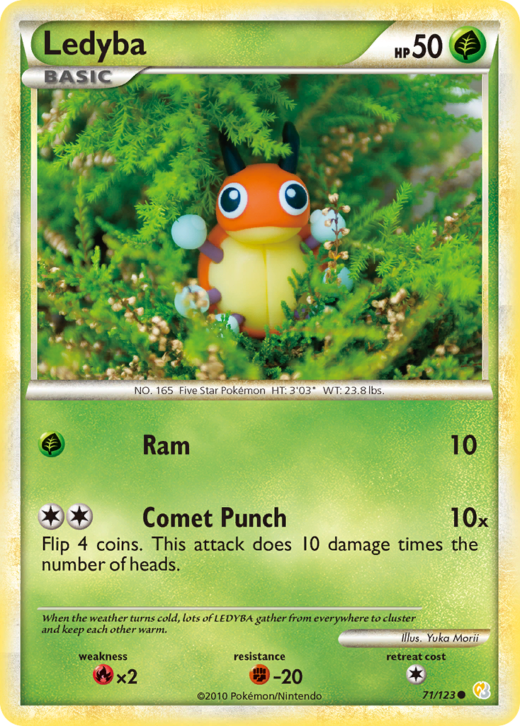 Ledyba - 71/123