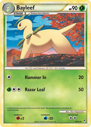 Bayleef - 40/95