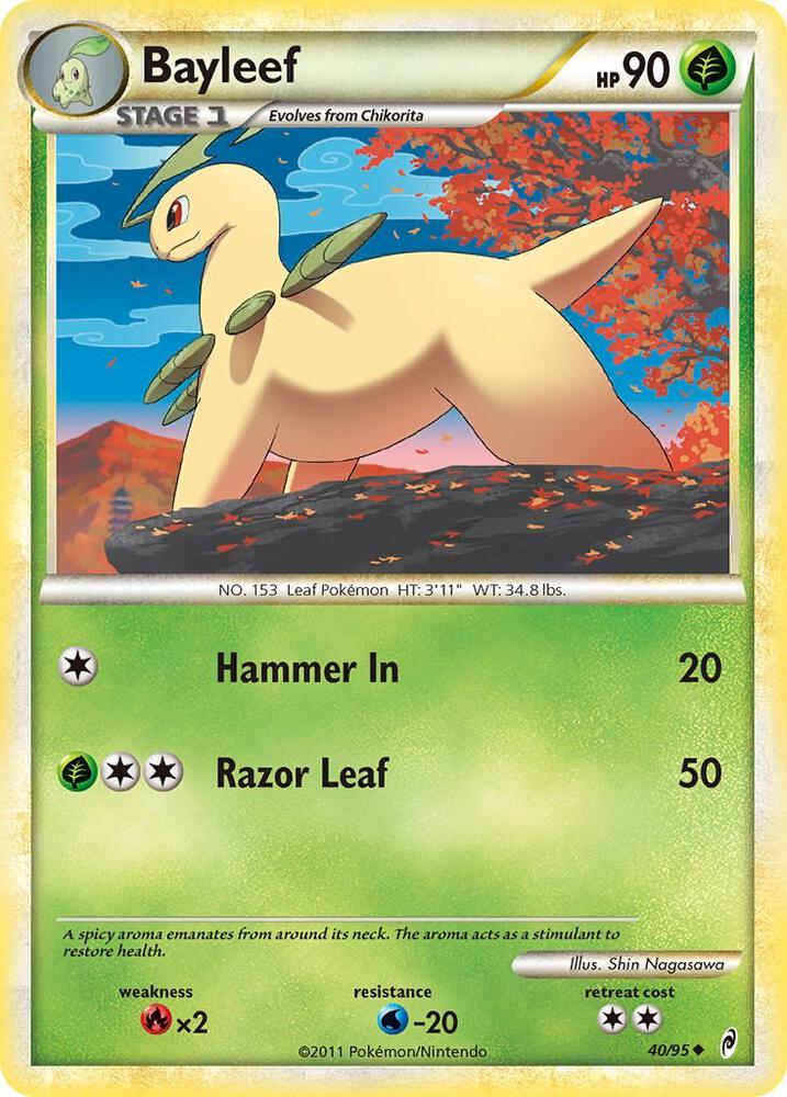 Bayleef - 40/95