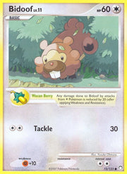 Bidoof - 73/123