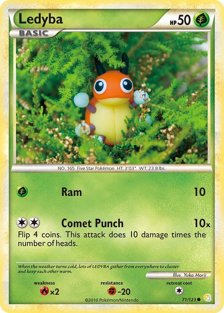 Ledyba - 71/123