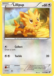 Lillipup - 81/114