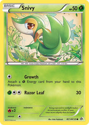 Snivy - RC1/RC25
