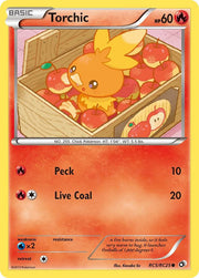 Torchic - RC5/RC25