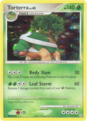 Torterra - 17/130