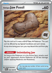 Antique Jaw Fossil - 068/088
