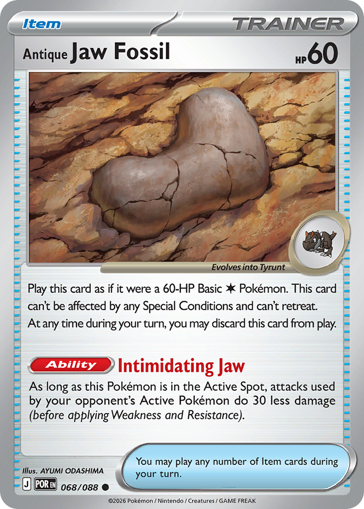Antique Jaw Fossil - 068/088